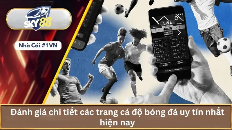 Đánh Giá Top 10 Trang Cá Độ Bóng Đá Uy Tín Nhất 2025 2 Đánh giá chi tiết các trang cá độ bóng đá uy tín nhất hiện nay