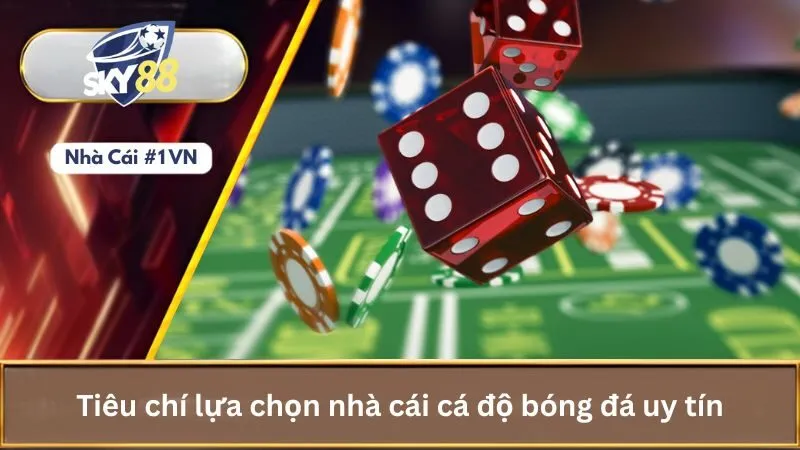 Đánh Giá Top 10 Trang Cá Độ Bóng Đá Uy Tín Nhất 2025 1 Tiêu chí lựa chọn nhà cái cá độ bóng đá uy tín